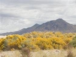 Aerial view of Nevada Humboldt County 80-acre land near Winnemucca, showcasing grassy terrain and open landscape.