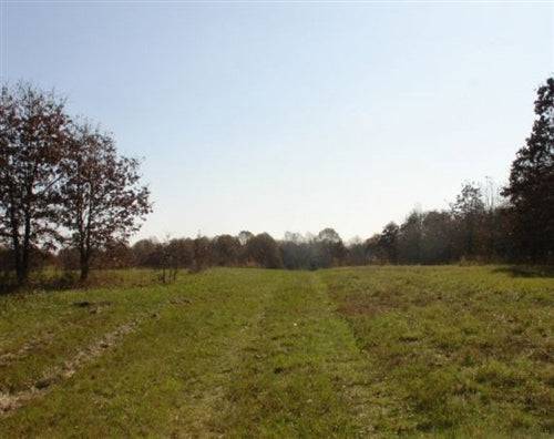 15.7-acre Tranquility Farms in Choctaw County, Oklahoma with lush fields and rural landscape, by Onlinelandsales.