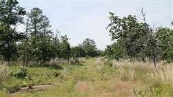 Oklahoma, Pittsburg County, 10.39 Acres Indian Ridge II. TERMS $269/Month