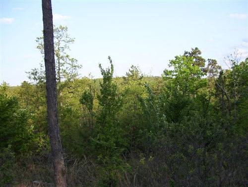 Aerial view of Pine Mountain Ranch in Latimer County, Oklahoma, showing five acres of wooded land on Pine Mountain.