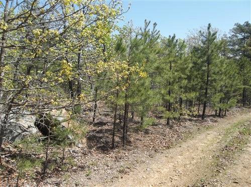 Aerial view of Oklahoma Latimer County Pine Mountain Ranch, 5.92 acres, lush land with trees and open spaces, ideal for outdoor activities.