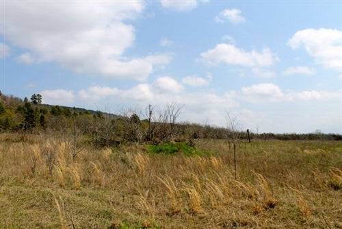 Aerial view of 5.01-acre Daisy Meadows property with creek in Pittsburg County, Oklahoma, offered by Onlinelandsales.