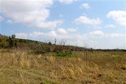 Oklahoma, Pittsburg County, 5.01 Acre Daisy Meadows. TERMS $200/Month