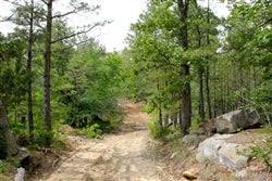 Aerial view of Oklahoma Trophy Ridge III land in Pushmataha County, showing wooded 9.59-acre property for sale by Onlinelandsales.