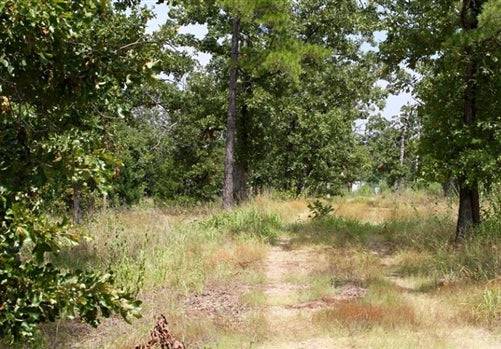Lake view of a 2.63-acre private reserve in Pushmataha County, Oklahoma, with scenic natural landscape and open sky.