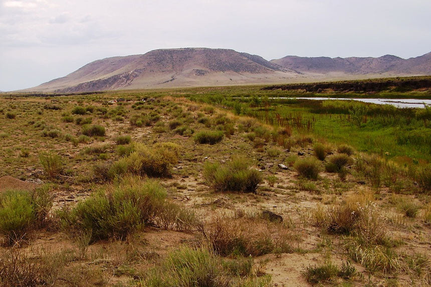 Colorado, Costilla County, 0.25 Acre Rio Grande River, Lot 893 Unit 1 (Near Rio Grande River). TERMS $52/Month