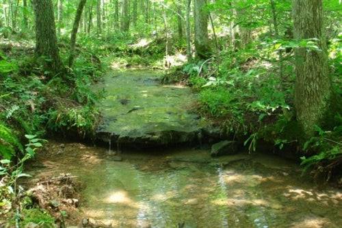 Scenic view of Sugartree Falls in Wayne County, Tennessee, on Onlinelandsales property listing with lush greenery and waterfalls.
