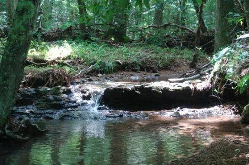 Aerial view of Sugartree Falls in Wayne County, Tennessee, showing lush 10.66-acre land with natural landscape and wooded areas.