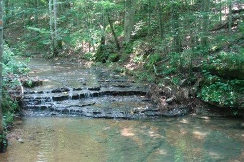 Scenic view of Sugartree Falls creek and waterfalls on 5.09-acre land in Wayne County, Tennessee, offered by Onlinelandsales.