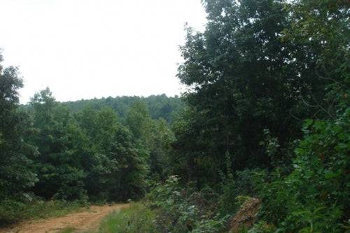 Scenic view of Sugartree Falls creek and waterfall on 5.12-acre Tennessee Wayne County land by Onlinelandsales.