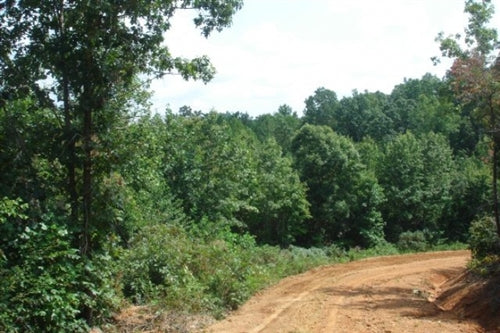 Tennessee, Wayne County, 9.06 Acre Sugartree Falls. TERMS $310/Month
