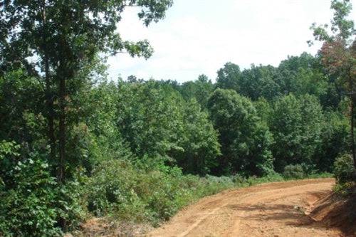 Aerial view of Tennessee Wayne County Sugartree Falls 9.06-acre land for sale, with trees and natural landscape.