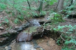Tennessee, Wayne County, 6.52 Acre Sugartree Falls, Creek, Waterfall. TERMS $170/Month