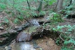 Scenic view of Sugartree Falls creek and waterfall in Wayne County, Tennessee, on Onlinelandsales property.