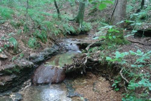 A scenic view of Sugartree Falls on 7-acre property in Wayne County, Tennessee, with lush greenery and waterfall features.