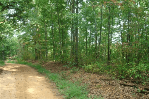 Aerial view of Tennessee Wayne County Sugartree Falls 20.97-acre land parcel with trees and natural landscape, offered by Onlinelandsales.