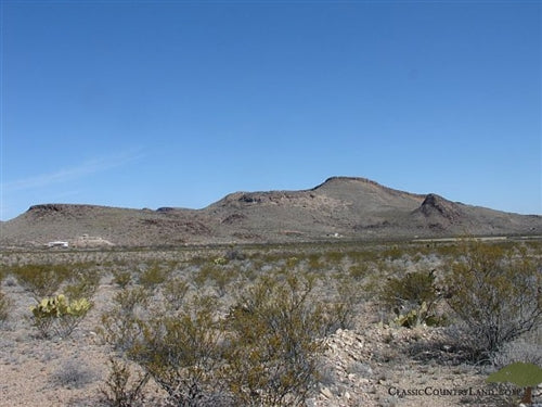 Texas, Brewster County, 20 Acres Terlingua Ranch. TERMS $100/Month
