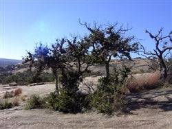 Aerial view of Texas Culberson County 31-acre land parcel with open terrain and desert landscape, offered by OnlineLandSales.