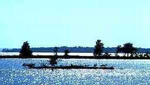 Scenic view of Lake Livingston at Polk County Resort in Texas, featuring lush surroundings and waterfront amenities.