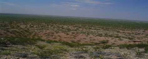 Aerial view of 5-acre Texas land in Ward County near Monahans, showcasing open desert landscape and clear blue sky.