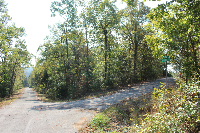 Arkansas, Sharp County, Cherokee Village, Lot 35 Block 04, Electricity, Water. TERMS: $60/Month