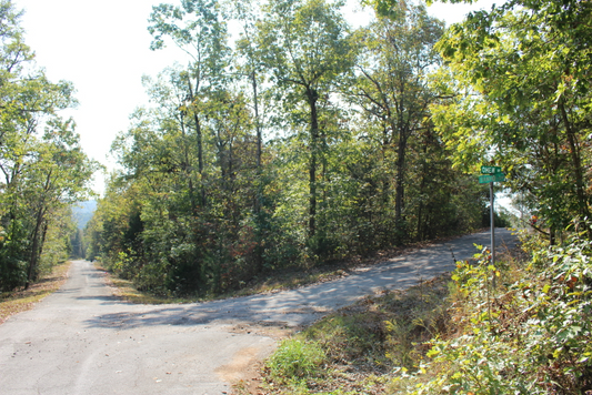 Arkansas, Sharp County, Cherokee Village, Lot 35 Block 04, Electricity, Water. TERMS: $60/Month