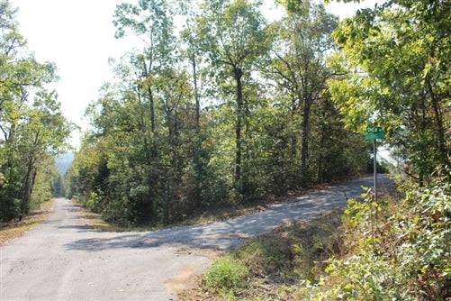 View of Lot 20 in Cherokee Village, Sharp County, Arkansas, showing electricity and water access, available for purchase.