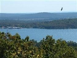 Arkansas, Izard County, 0.31 Acre Sec 10 ,  Horseshoe Bend. TERMS $50/Month