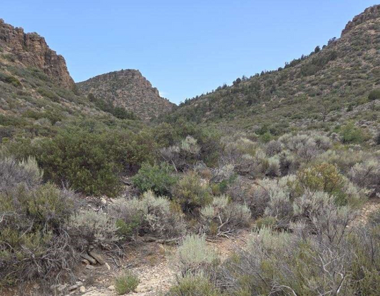Aerial view of 7.95-acre Golden Valley Ranchos Lot 1 in Mohave County, Arizona, showing desert landscape and property boundaries.