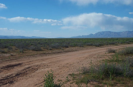 Aerial view of Arizona Mohave County Lake Mead Rancheros Unit 1 Lot 185, showing open land near Lake Mead in desert terrain