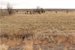 Aerial view of Navajo County Arizona ranch lot 23 in Rancho 88, showing desert terrain and surrounding landscape.
