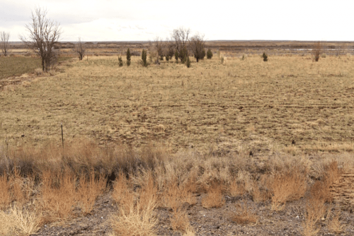 Aerial view of Navajo County Arizona ranch lot, 1.25 acres, showcasing open land and surrounding natural desert scenery.