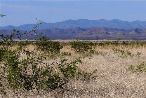Arizona, Cochise County, 0.33 Acres Cochise College Park #7, Lot 1164 . TERMS $0 Down $49/Month