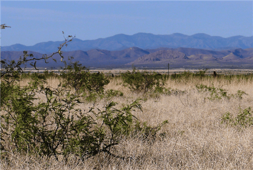Aerial view of Cochise County Arizona, Lot 1919 in Cochise College Park, 0.32-acre land parcel with clear boundary lines.