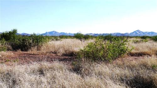 Aerial view of a .21-acre Cochise College Estates land parcel in Cochise County, Arizona, with surrounding desert landscape.