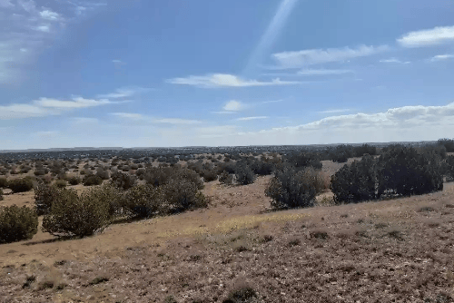 Aerial view of Chevelon Canyon Ranch, 2.50 acres in Navajo County, Arizona, showing rugged terrain and section boundaries.