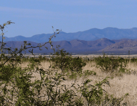 Aerial view of Cochise County, Arizona, showing Cochise College Park Lot 2459, a 0.31-acre land parcel in Cochise County.