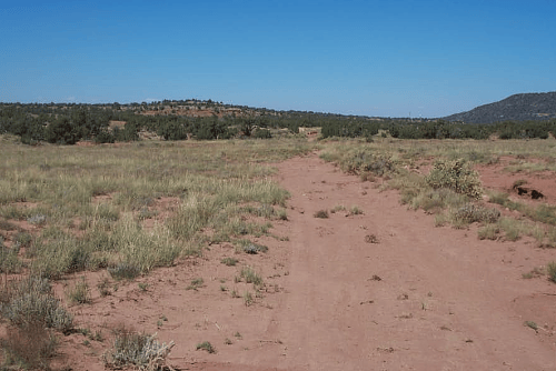 Arizona Navajo County 1.17-acre ranch lot of the Golden Horse, Lot 961, Unit 4, with scenic desert landscape and open terrain.