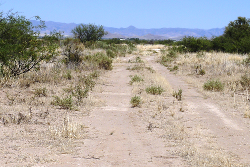 Arizona, Cochise County, 1.41 Acres Arizona Sunsites, Lot 01 Block 404. TERMS $90/Month
