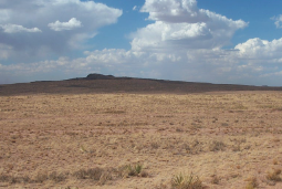 Arizona, Navajo County, 1.25 Acres Sun Valley, Lot 104 Rancho #111. TERMS $42/Month