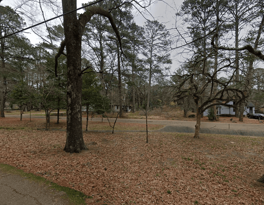 A map view of a 0.27-acre lot in Alta Woods Park, Hinds County, Mississippi, showing property boundaries and surrounding area.