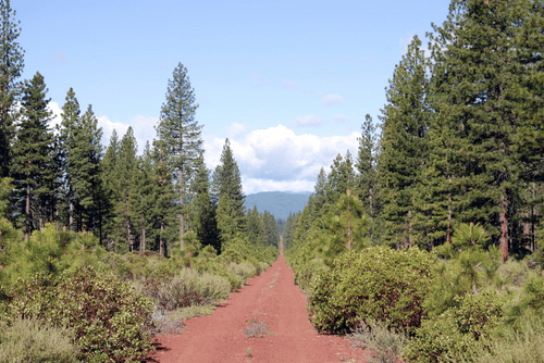 Aerial view of a 10-acre parcel in Shasta County, California, located in Montgomery Creek, showing surrounding rural land and terrain.