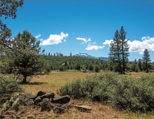 Aerial view of a 10-acre land parcel in Shasta County, California, showing Montgomery Creek area with surrounding terrain.