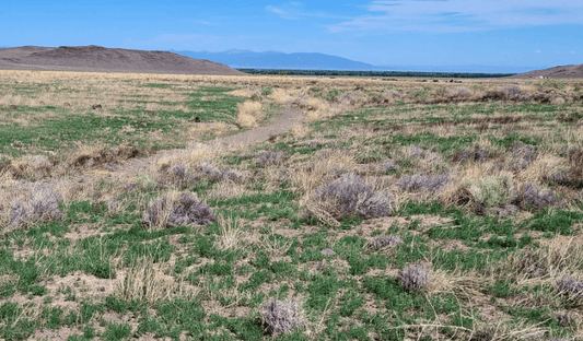 Aerial view of 3.15-acre Colorado land in Conejos County near Antonito, showing County Road 12.5 and surrounding landscape.