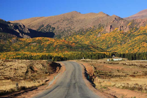 Colorado, Teller  County,  1.31 Acres Cripple Creek Lot  100, Electricity and Water.  TERMS $356/Month