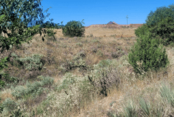 Aerial view of Colorado Fremont County 0.4-acre land near Florence, showing surrounding properties and open land, by Onlinelandsales.