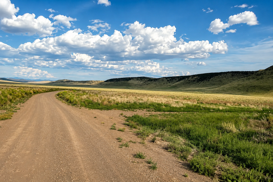 Colorado, comté de Costilla, terrain de 0,1 hectare (0,25 acre) en bordure du Rio Grande, lot 893, unité 1 (près du Rio Grande). CONDITIONS : 50 % de réduction (actuellement) 26 $/mois 