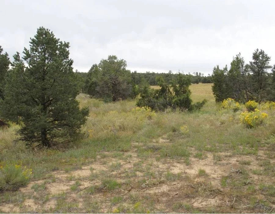 Aerial view of a 5-acre property in Cibola County, New Mexico, showing open land with surrounding natural landscape.