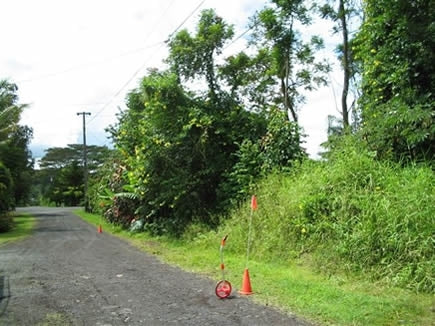 Hawaii, Hawaii County, 2 Adjoining 1/4 Acre Nanawale Estates, Holiday Road. TERMS $310/Month