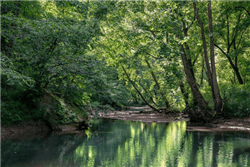 Aerial view of Kentucky Jackson County River's Edge lot 27, 3.46 acres along the river, with trees and surrounding landscape.